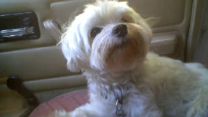 VID00310_002.jpg